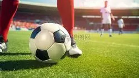 【重温经典】2019年度必看中文电影盘点及在线观影指南