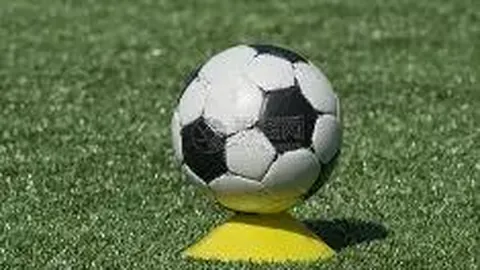 “双色球最新一期开奖结果”