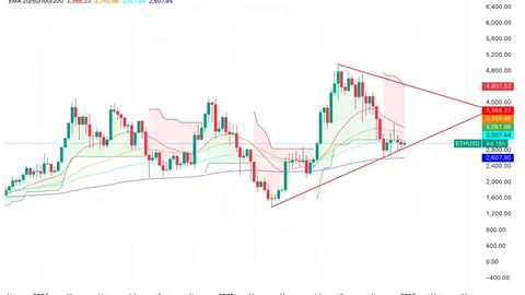 林志颖分享46岁喜得双胞胎，育儿经引关注