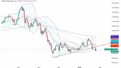 特朗普盛赞白宫经济舵手哈塞特：揭秘美元背后的智慧力量
