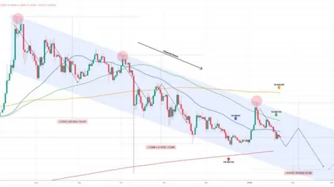 币安大动作！1697万枚MET涌入新钱包，总价值高达370万美元引关注！